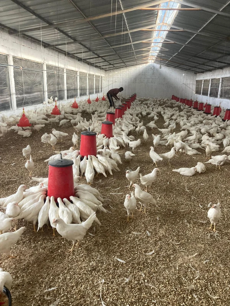 Local Production for Local Demand