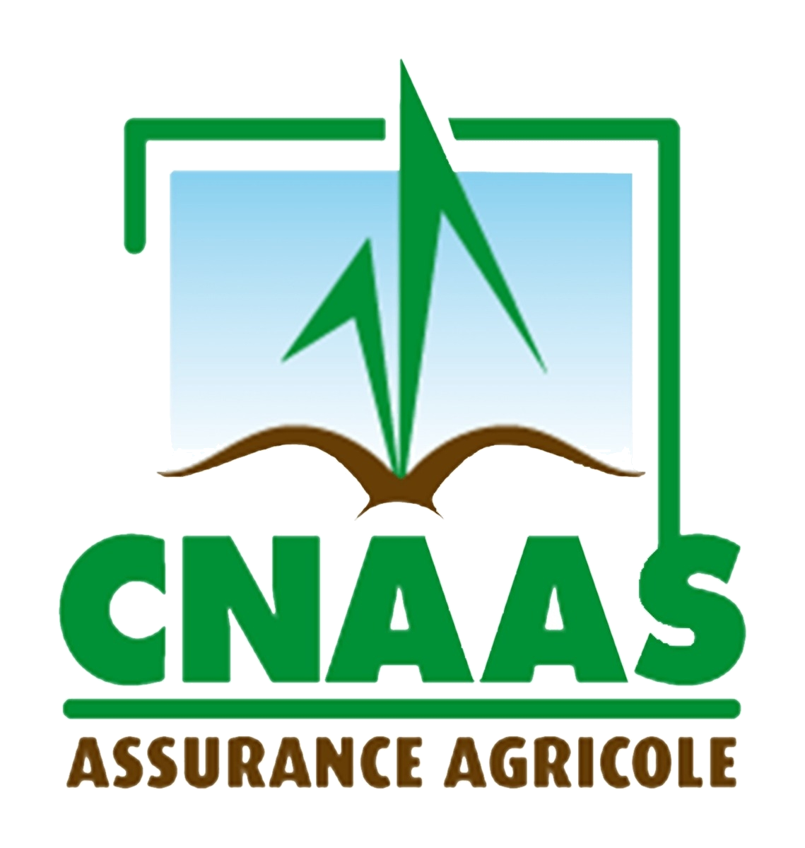 CNAAS logo