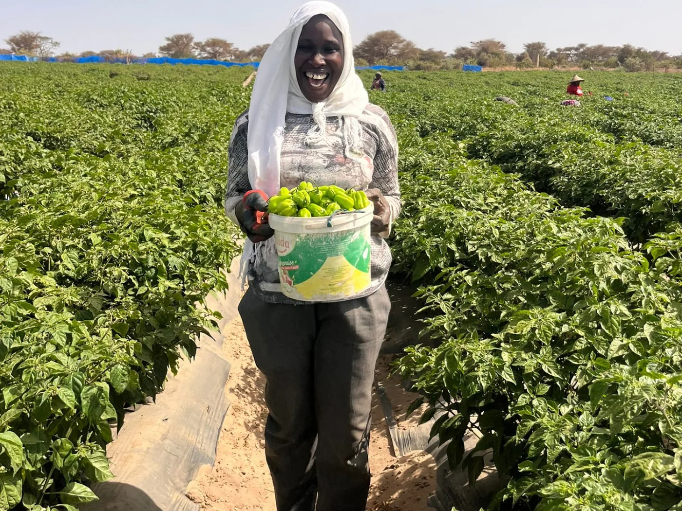 Women at the Center of Growth