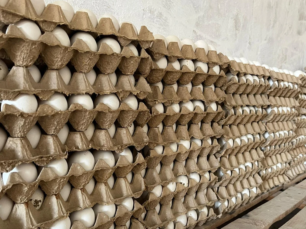 Close-up of Dona Farm eggs stacked in trays